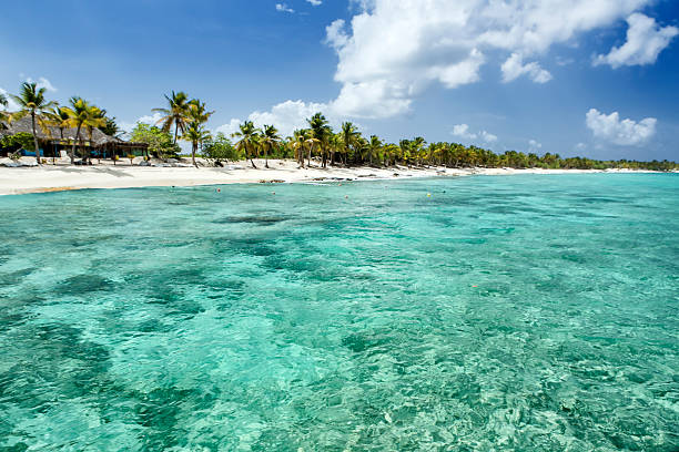istock Beach in Dominican Republic 509189714