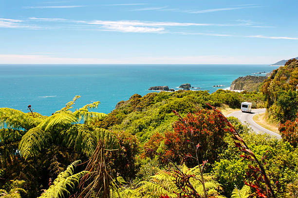 Campervan along the New Zealand coastline with fern and native plants and cliffside. 