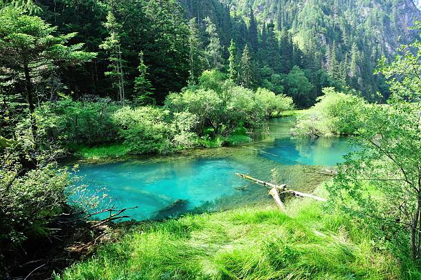 istock jiuzhaigou national park in china 509205665