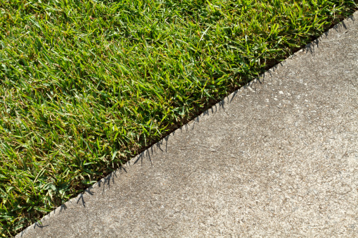 At the boundary edge where green grass in a lawn and a concrete sidewalk meet on a sunny summer day.