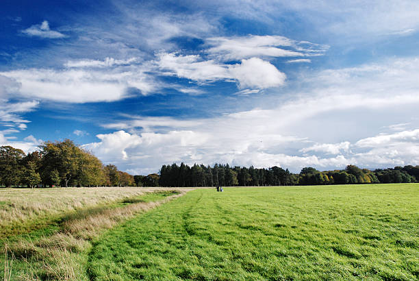 istock Sunny Autumn Day in Ireland 509206631