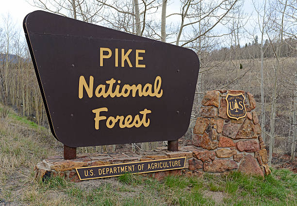 istock Pike National Forest sign, Colorado 509207063