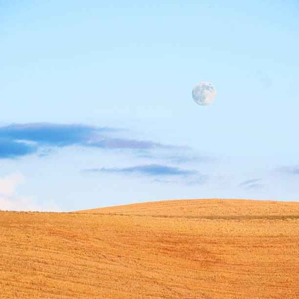 istock Full moon in the blue sky and the golden field 509207605