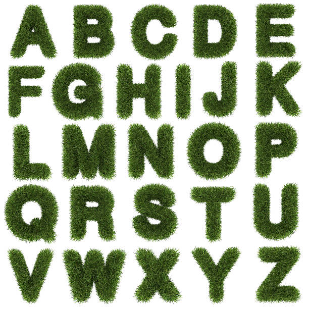 istock upper letters of green grass alphabet isolated on white background 509207659