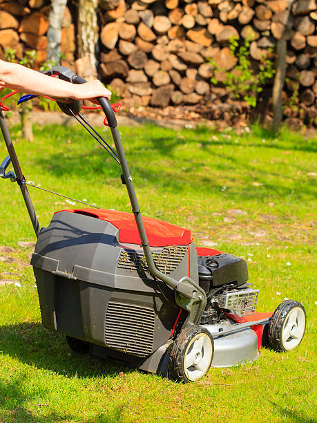 istock Gardening. Mowing green lawn with red lawnmower 509208039
