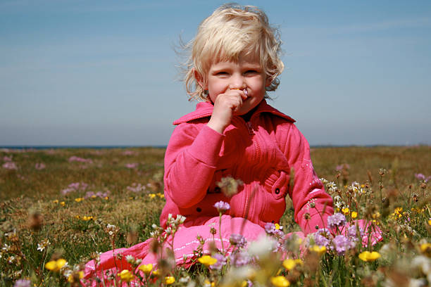 o cheiro de belas flores do prado - field flower danish culture sunlight - fotografias e filmes do acervo