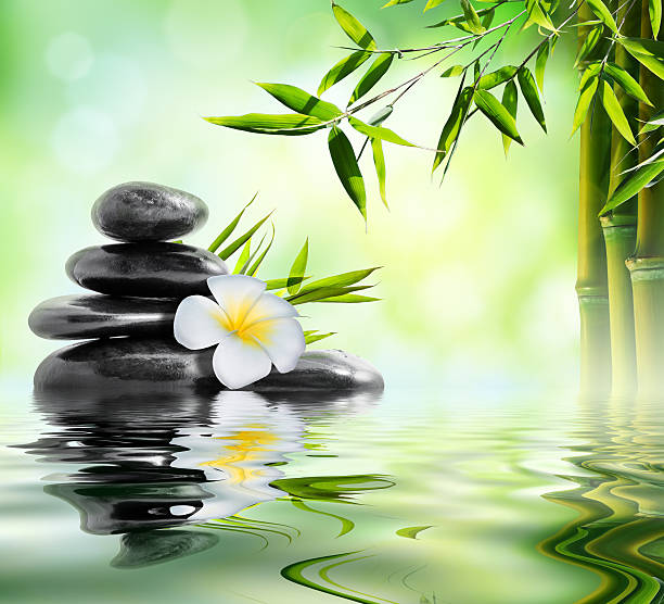 istock massage with frangipane on water 509211339