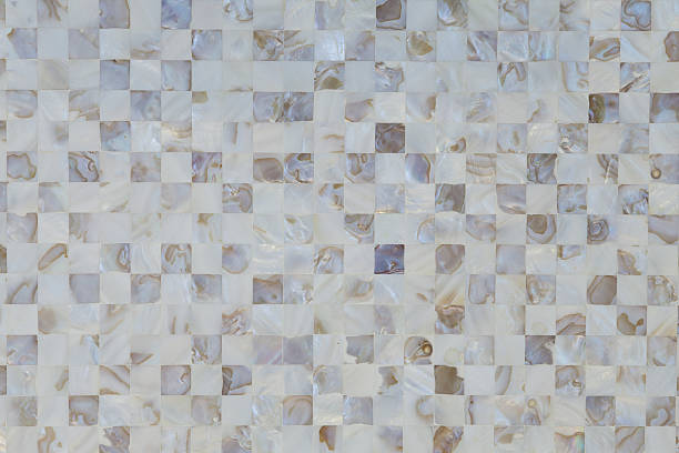 istock oyster shell textured mosaic tiles in neutral color 509212425