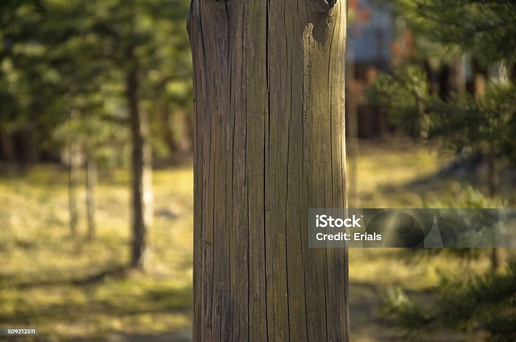 Bâton en bois vide - Photo de Créativité libre de droits