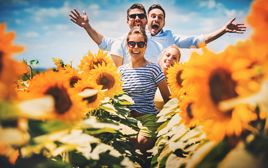 Closeup of four mid 20's people happily jumping and running through sunflower field. All laughing and looking at camera, front lit, the Sun is pretty high.