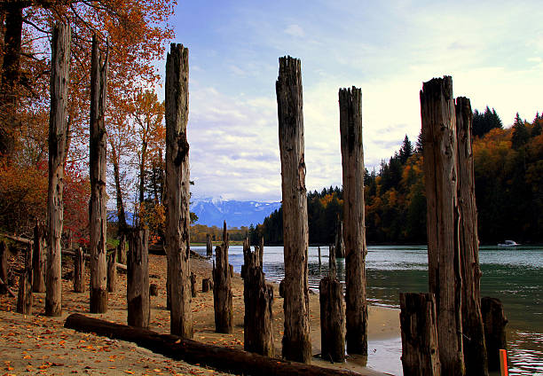 istock Autumn in Harrison Lake, BC 509225324