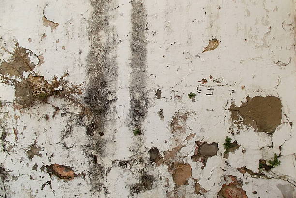 istock Weathered White Wall with Verticl Stains 509225380
