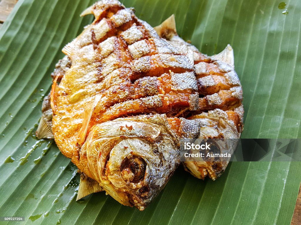 Fried fish food backgrounds Close-up Stock Photo
