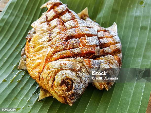 Fried Fish Food Backgrounds Stock Photo - Download Image Now - Close-up, Commercial Kitchen, Crockery