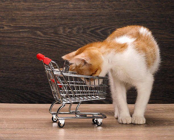 istock Grocery supermarket trolley 509227338