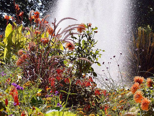 istock Flowers in the garden 509227552