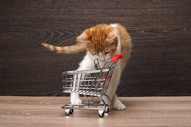 istock Grocery supermarket trolley 509228444