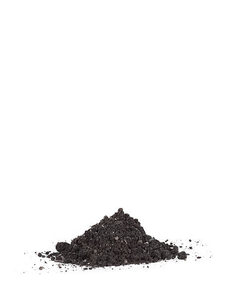 istock Pile heap of soil humus isolated 509229584