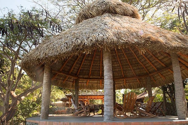 istock wood cabin for tourism 509229776
