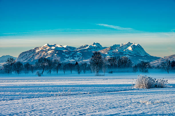 View from austria over the border to the snow covered mountain range in switzerland with the Säntis. It's winter morning with a frozen field in the foreground, some trees standing in the fog in the middle and the mountains from the alps in the background.