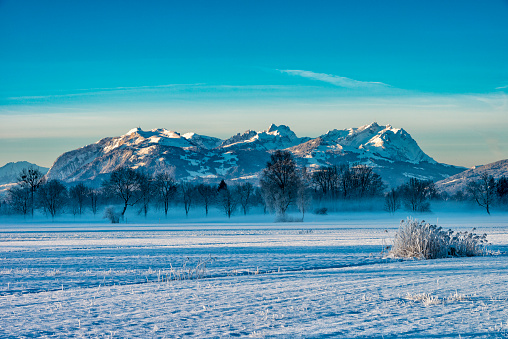 View from austria over the border to the snow covered mountain range in switzerland with the Säntis. It's winter morning with a frozen field in the foreground, some trees standing in the fog in the middle and the mountains from the alps in the background.