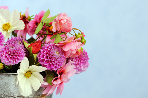 bunch of beautiful flowers on blue background