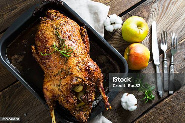 Roasted Goose With Apples In A Rustic Style Stock Photo - Download Image Now - Apple - Fruit, Baked, Celebration