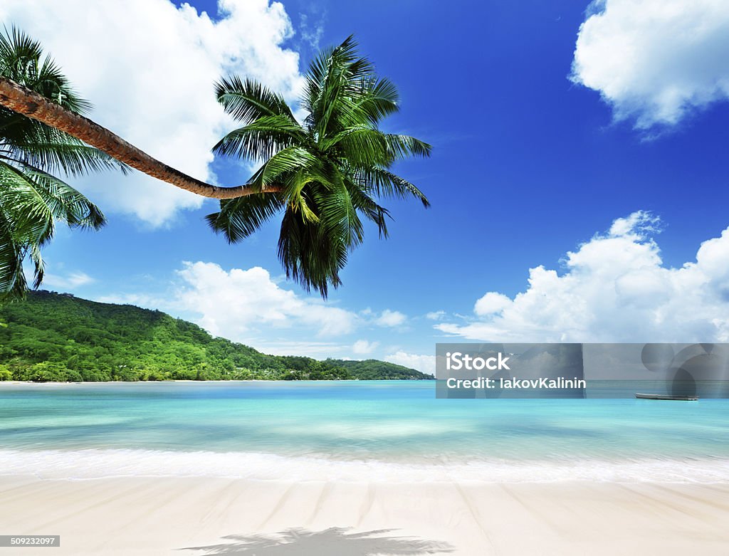 Playa de la isla de Mahe, en Seychelles - Foto de stock de Acantilado libre de derechos