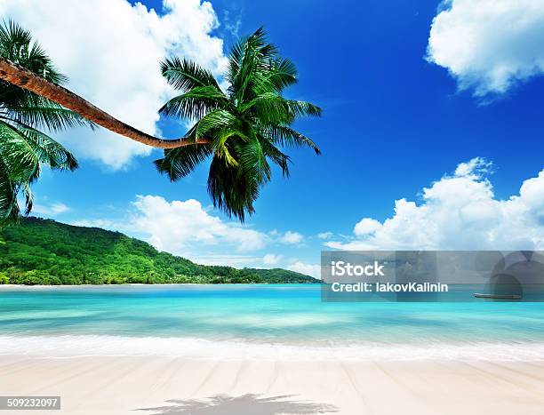 Playa De La Isla De Mahe En Seychelles Foto de stock y más banco de imágenes de Acantilado - Acantilado, Agua, Aire libre