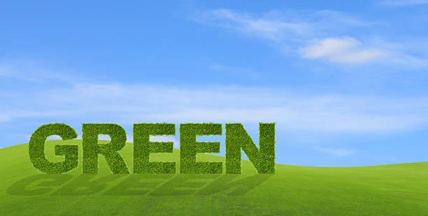 istock Wording GREEN made from grass on green field background 509232301