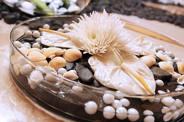 pearls and shells stock photo