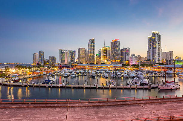 istock Miami city skyline panorama at twilight 509233209