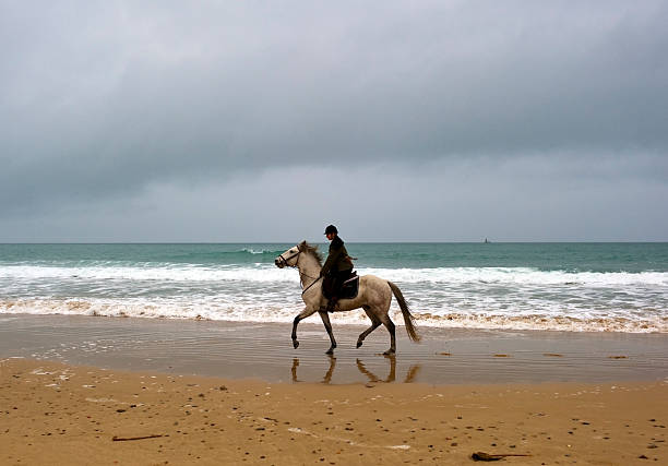 istock rider by the sea 509233745