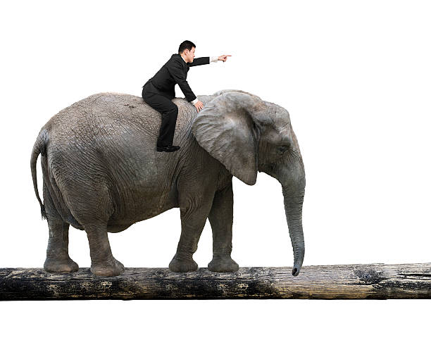 istock Man with pointing finger riding elephant walking on tree trunk 509234062