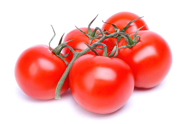 istock branch of tomatoes 509234150
