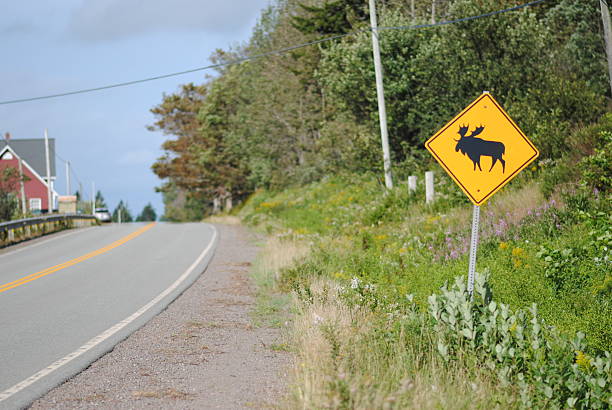 警告ムースサイン、rural road - moose crossing sign ストックフォトと画像