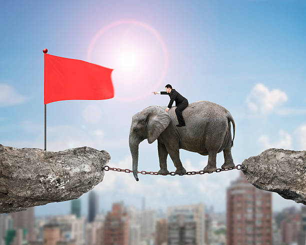 istock Businessman with pointing finger riding elephant toward red flag 509234616