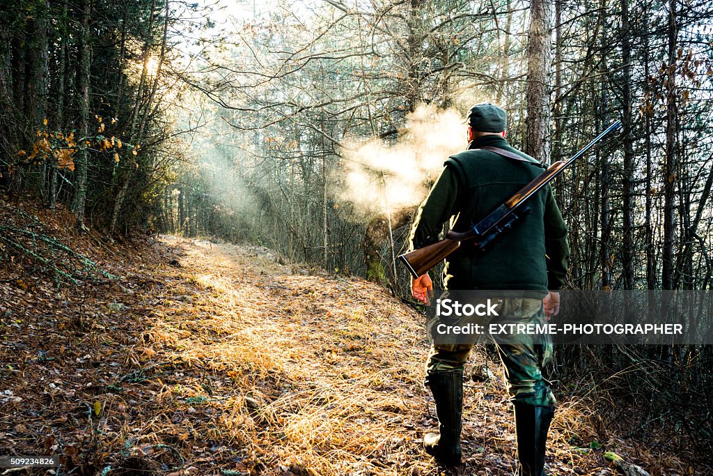 Hunter with rifle walking in the forest Hunter with rifle viewed from behind while walking uphill towards the sunlight that breaches through the trees. Hunting - Sport Stock Photo