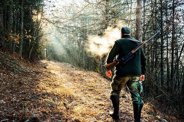 Hunter with rifle walking in the forest Hunter with rifle viewed from behind while walking uphill towards the sunlight that breaches through the trees. hunting stock pictures, royalty-free photos & images
