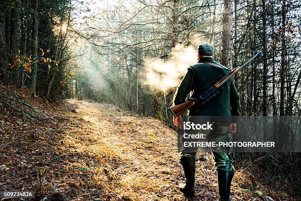 Hunter With Rifle Walking In The Forest Stock Photo - Download Image Now - Hunting - Sport, Hunter, Rifle