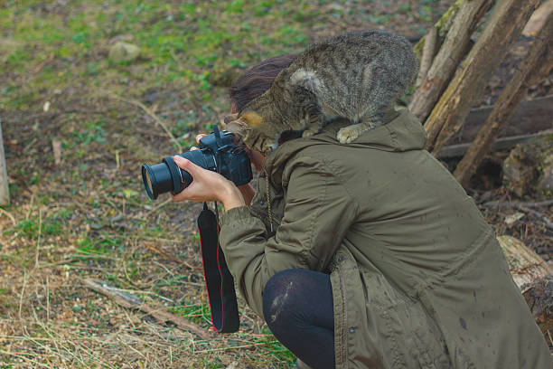 istock attractive girl photographed cats 509235018