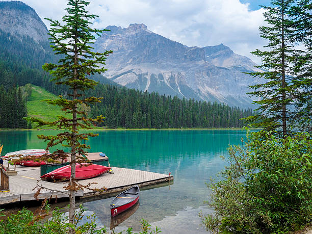canoas no lago esmeralda-cena de tranquilidade - british columbia canada lake emerald lake imagens e fotografias de stock
