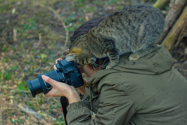 istock attractive girl photographed cats 509235520
