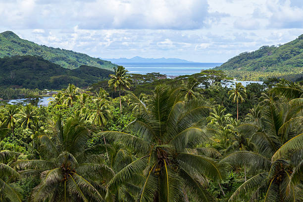 istock Panorama of Polynesian Island 509235703