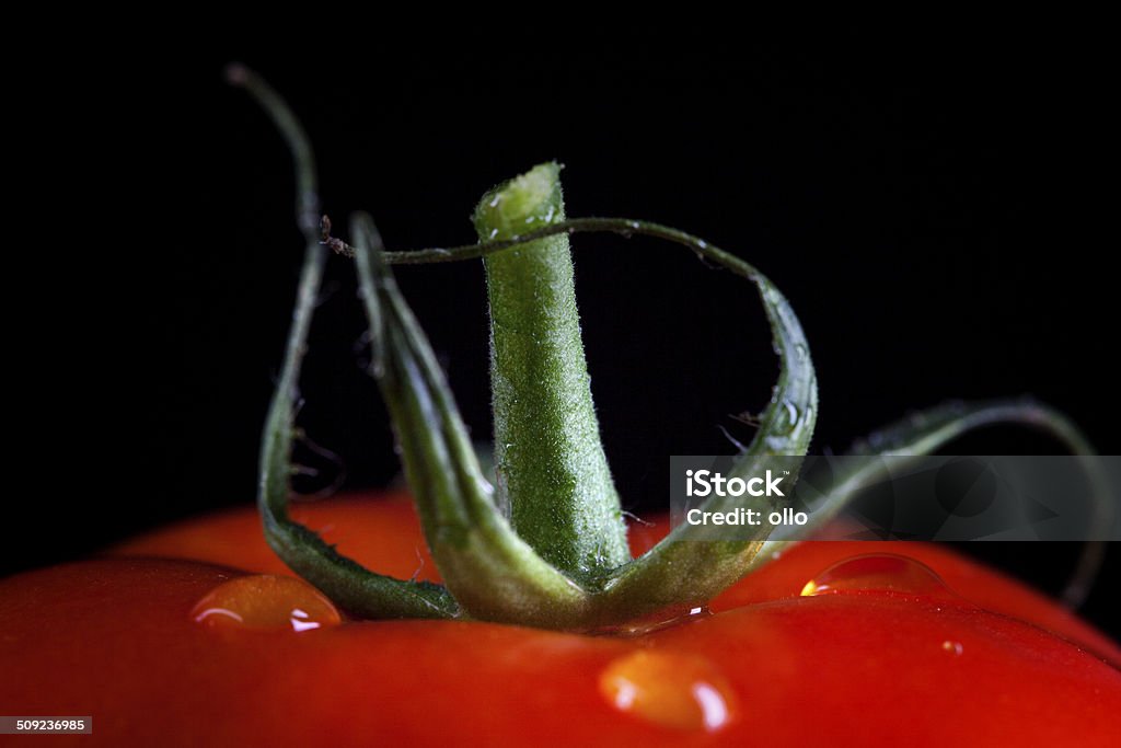 Tomate - Foto de stock de Agua libre de derechos