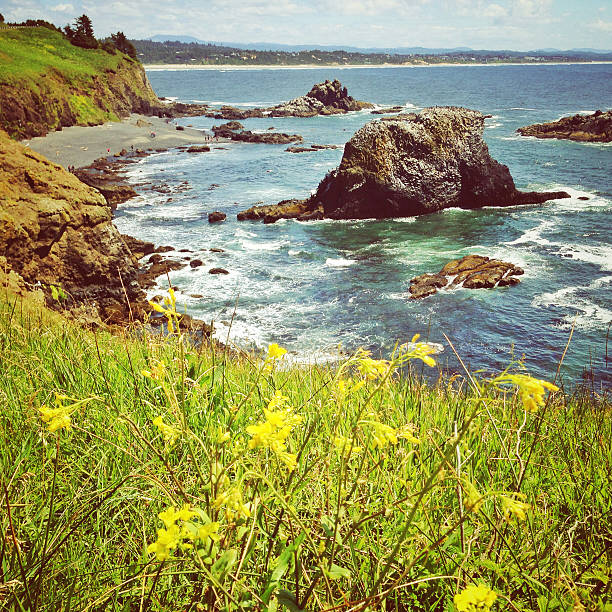 istock Yaquina Head Natural Area 509237447