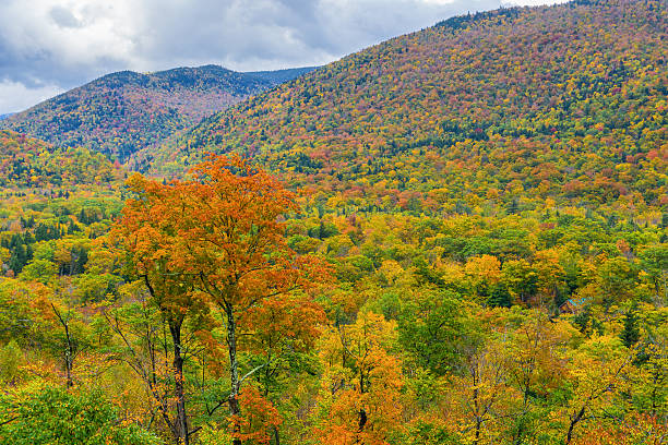 istock Autumn in New Hampshire 509237658