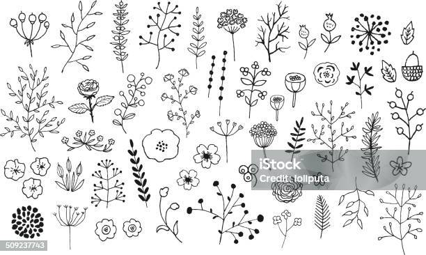 Hand Drawn Vintage Floral Elements Vector Isolated Stock Illustration - Download Image Now