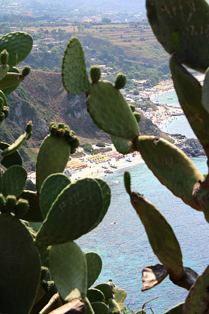 istock Mediterranean Sea, South Italy 509237879