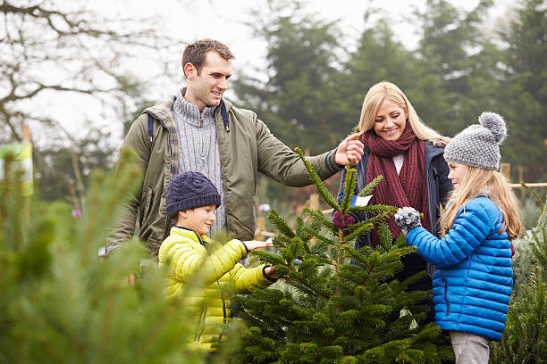 istock Outdoor Family Choosing Christmas Tree Together 509238399